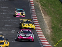 VLN 6 2026 0130