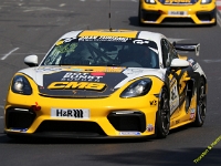 VLN 6 2026 0164