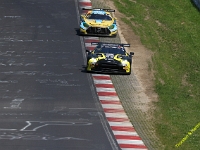 VLN 6 2026 0175