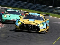 VLN 6 2026 0232