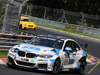 VLN 6 2026 0251