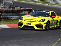 VLN 6 2026 0271