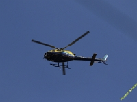 VLN 6h 2026 0209