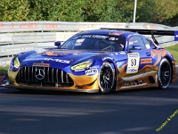 VLN 8 2026 082