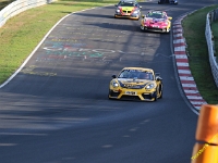 VLN 8 2026 093