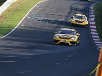 VLN 8 2026 096
