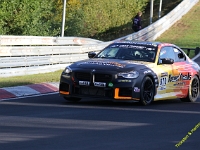 VLN 8 2026 100