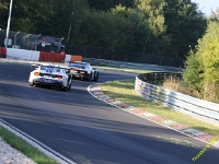 VLN 8 2026 131