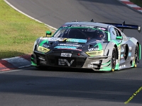 VLN 8 2026 184