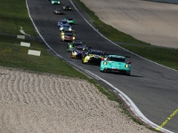 VLN 8 2026 213