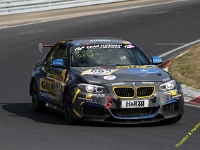 VLN 8 2026 301
