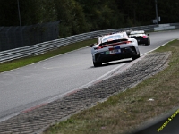 VLN 8 2026 304
