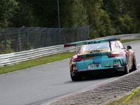 VLN 8 2026 314